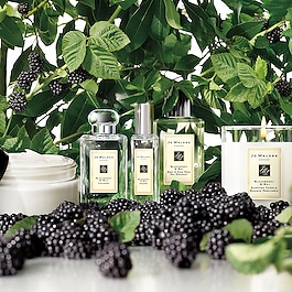 Blackberry & Bay - Cologne